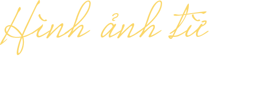 thu vien title