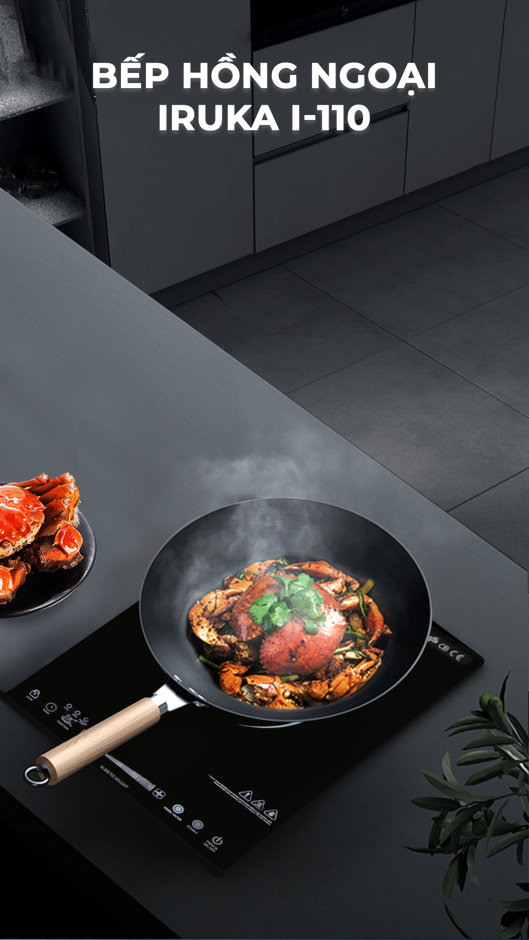 Bep Hong Ngoai IRUKA I 110 IRUKA Japan 0922 1
