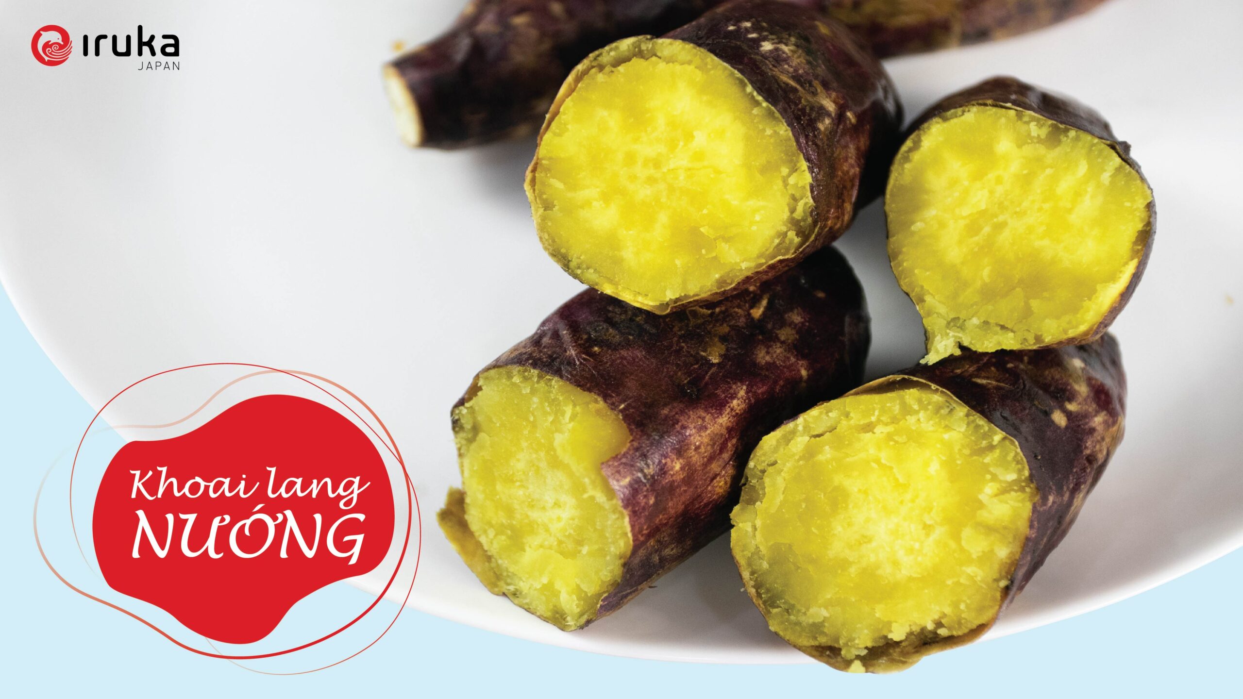 h1 01 1ccbdd75 9902 44f2 a0ab 39358c13d6d1 scaled