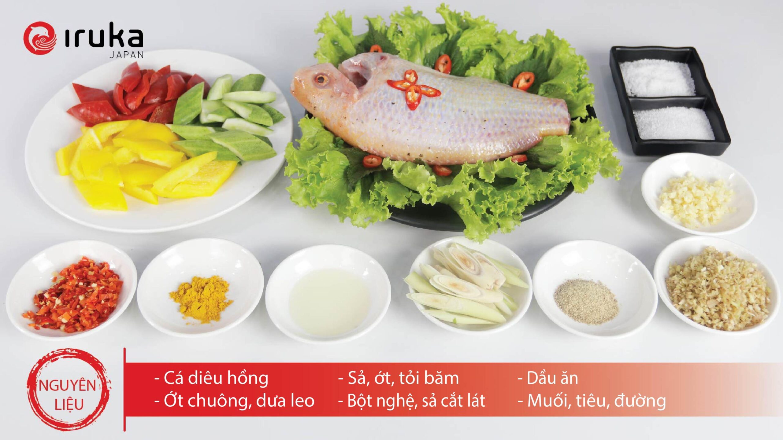 h1 988d2f49 cb40 4e03 98a5 6e7566ceaee0 scaled