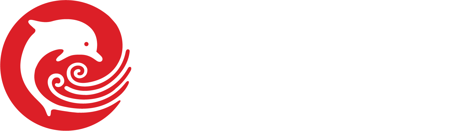 LOGO IRUKA 2025 white